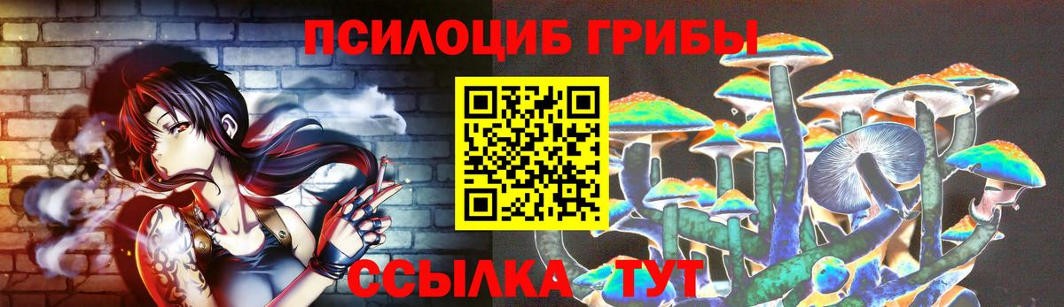 Псилоцибиновые грибы Psilocybine cubensis Медногорск